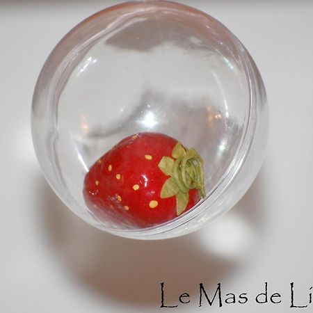 Maison D'Hotes Le Mas De Lila Вер-Пон-дю-Гар Экстерьер фото
